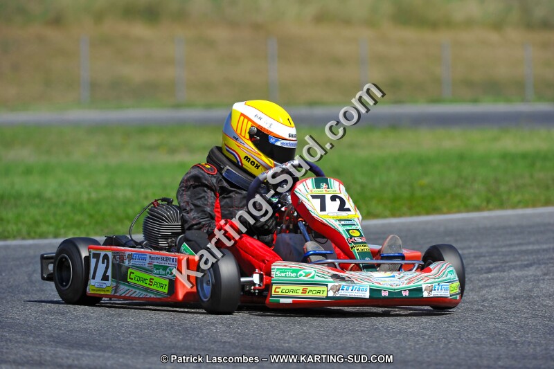 DSC_ (1377).jpg